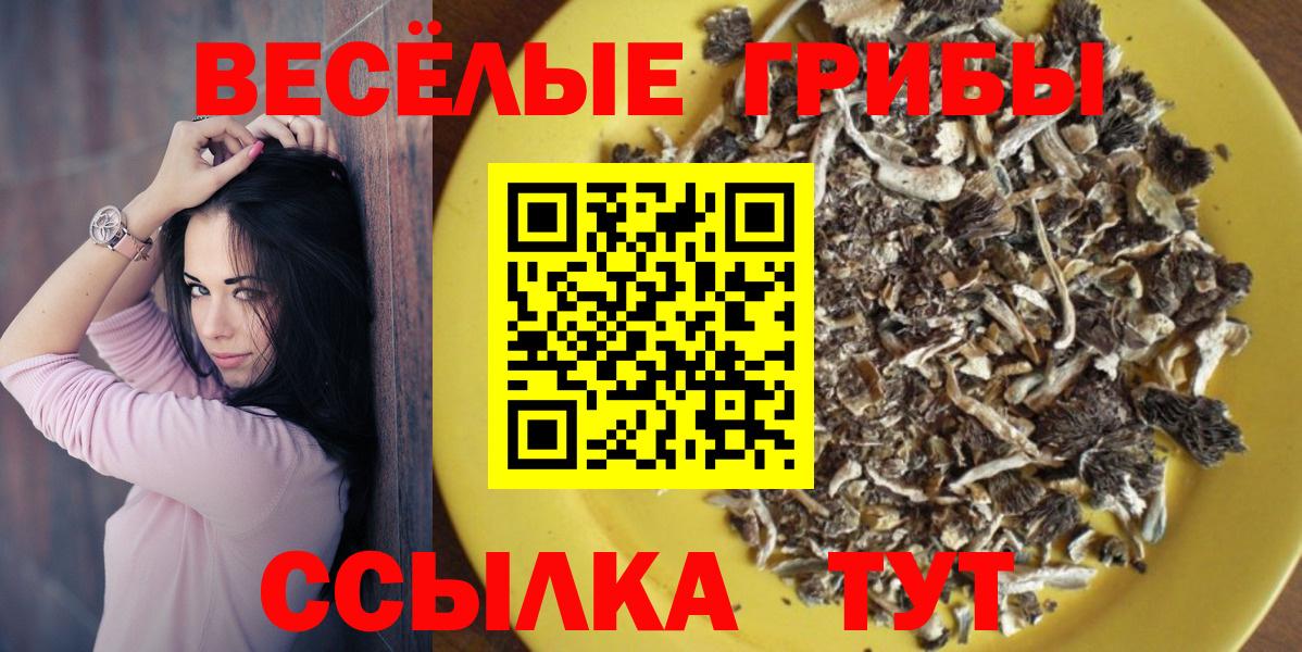 Галлюциногенные грибы прущие грибы Гагарин