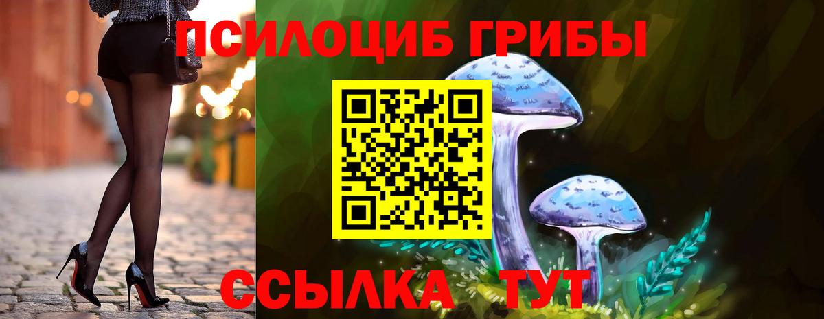 Галлюциногенные грибы Psilocybine cubensis  Вход с VPN  Гагарин  Псилоцибиновые грибы MAGIC MUSHROOMS 